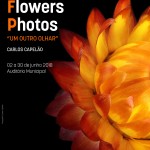 0. Mupi.Exposição.World.Flowers.Photos