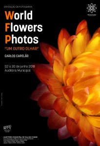 0. Mupi.Exposição.World.Flowers.Photos