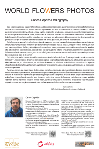 1 - Painel de ApresentaÃ§Ã£o World Flowers Photos