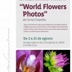 20258406_1732151650158126_8580271802139465543_n