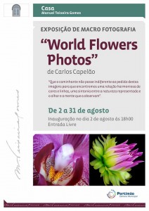 20258406_1732151650158126_8580271802139465543_n