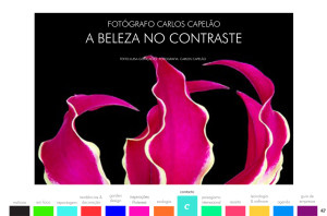 todo-sobre-jardins-42-00