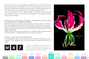 todo-sobre-jardins-42-01