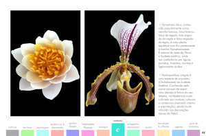 todo-sobre-jardins-42-02