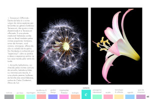 todo-sobre-jardins-42-03