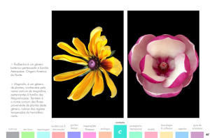 todo-sobre-jardins-42-04