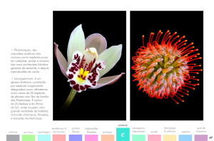 todo-sobre-jardins-42-05